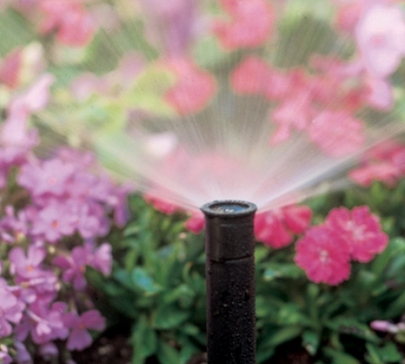 Lawn Sprinkler repair near me